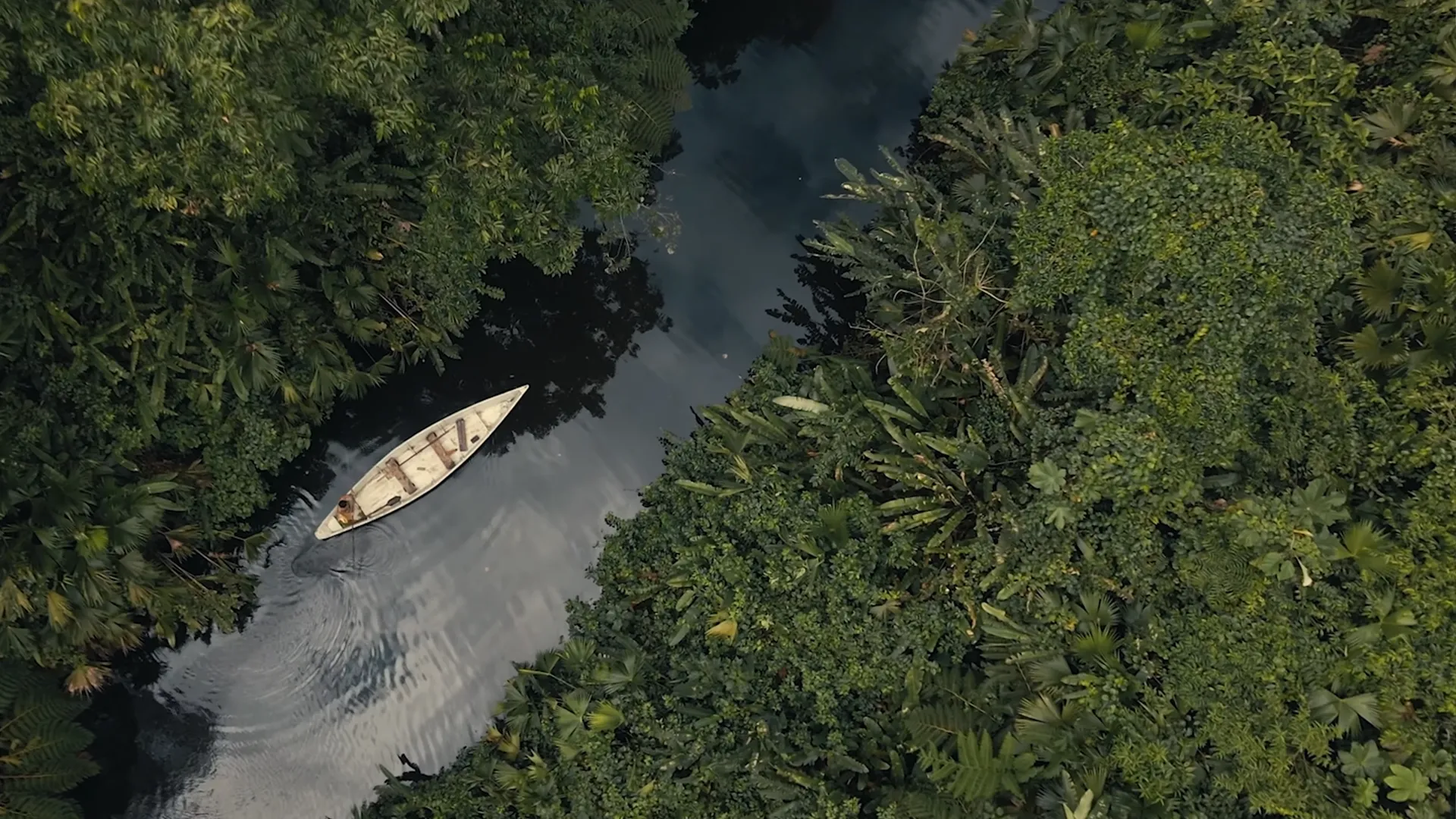 Amazonas River