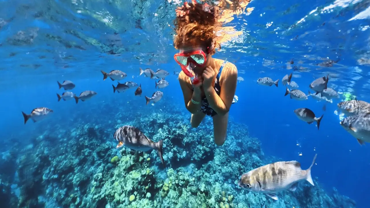 Snorkeling among fish over the reef just off West Bay Beach.