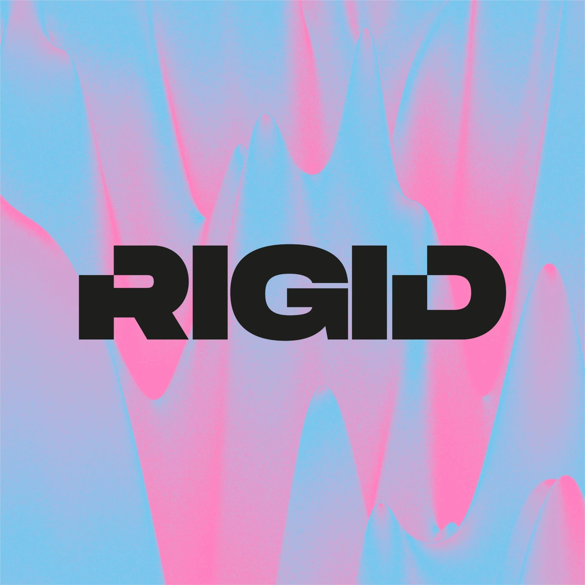 RIGID logo, pink/blue gradient. Freelance graphic designer Barcelona for branding.