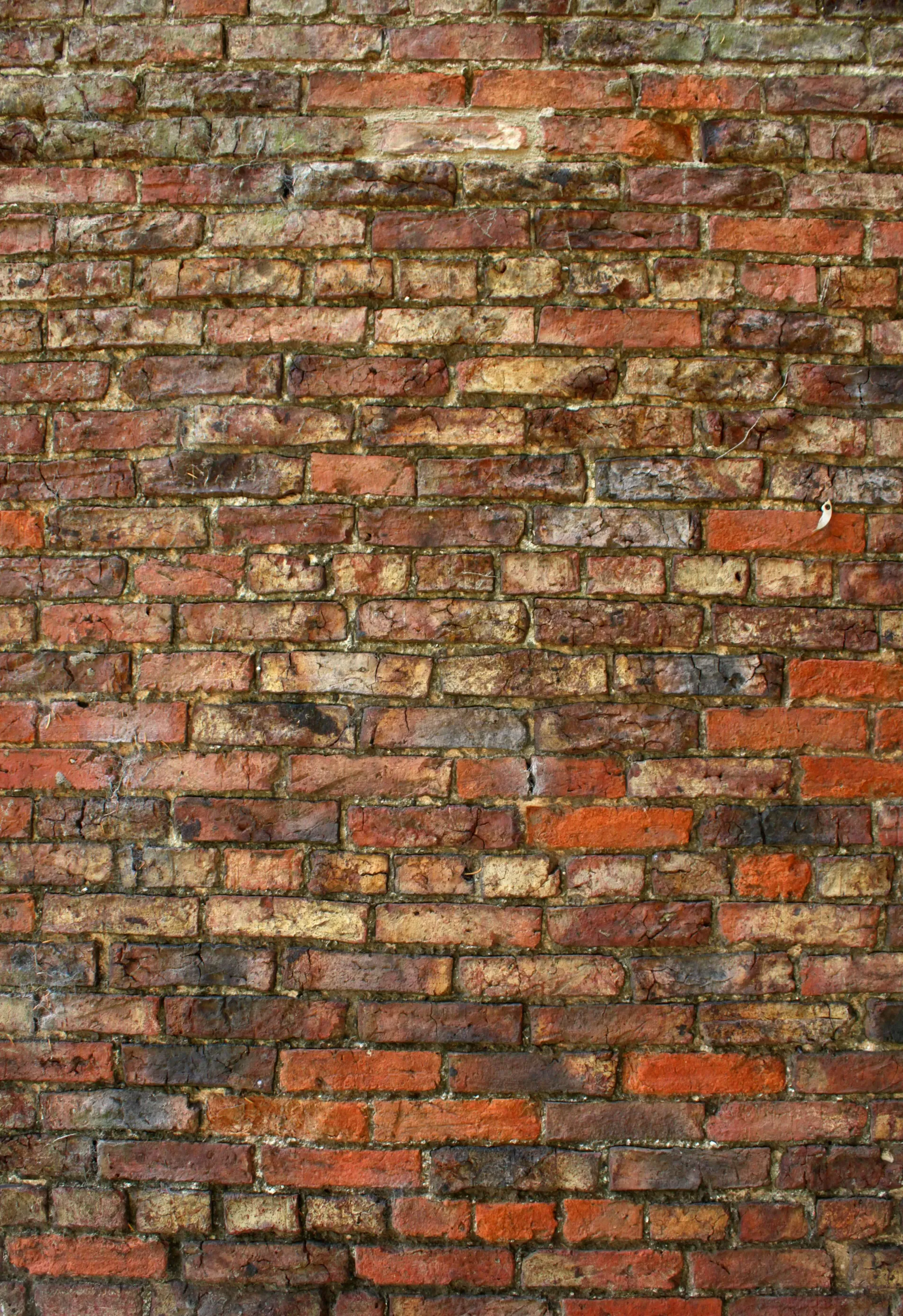 brown and black brick wall