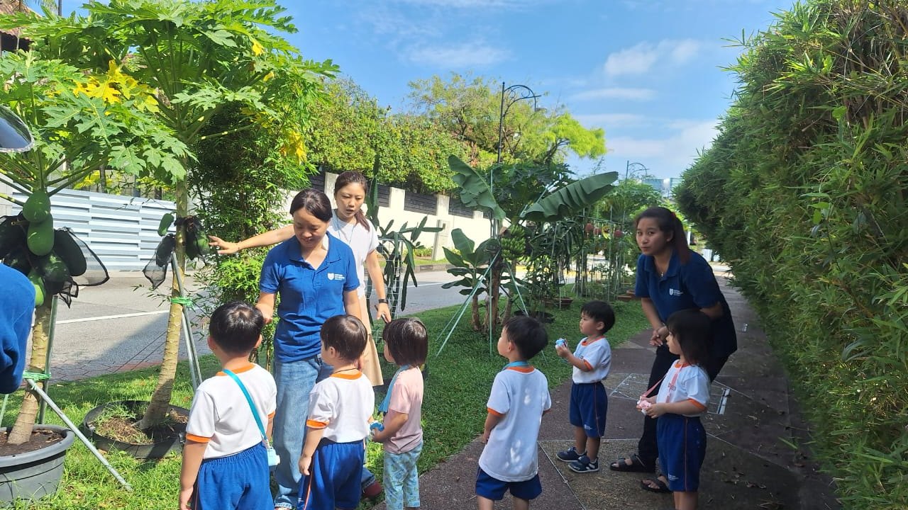 Preschool children from Oxford Explorers walking with their educators on a neighbourhood walk in Singapore.