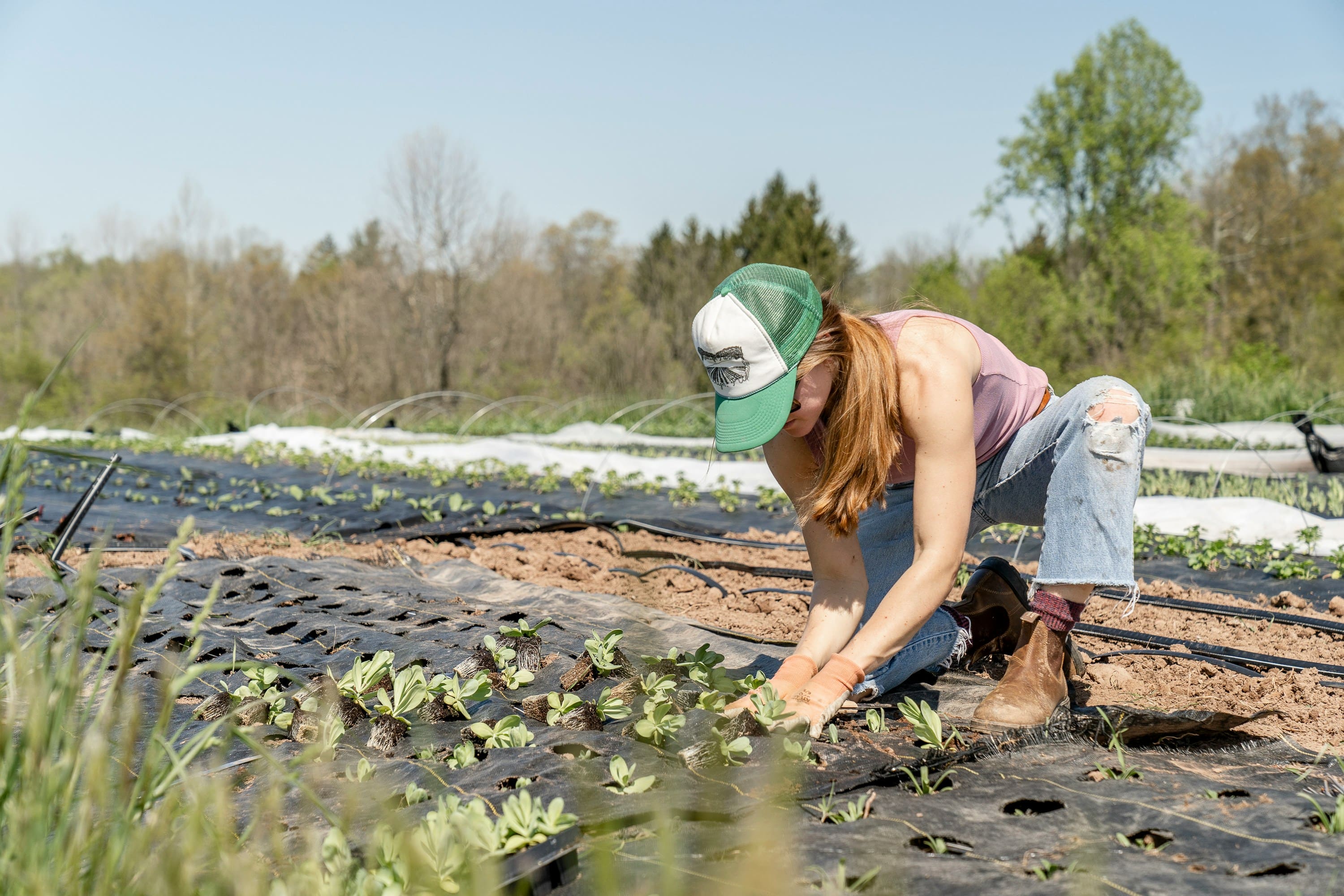 Image of girl planting plant