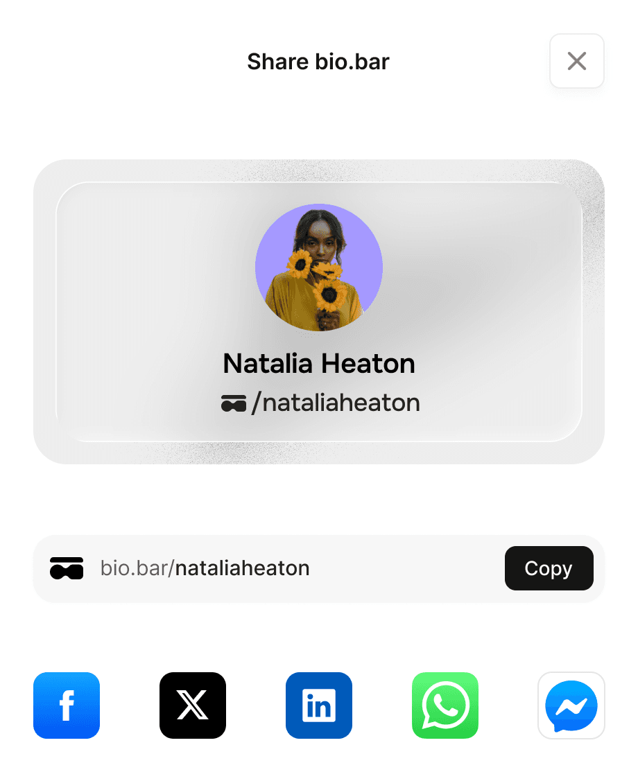An image of Freelio's project ui