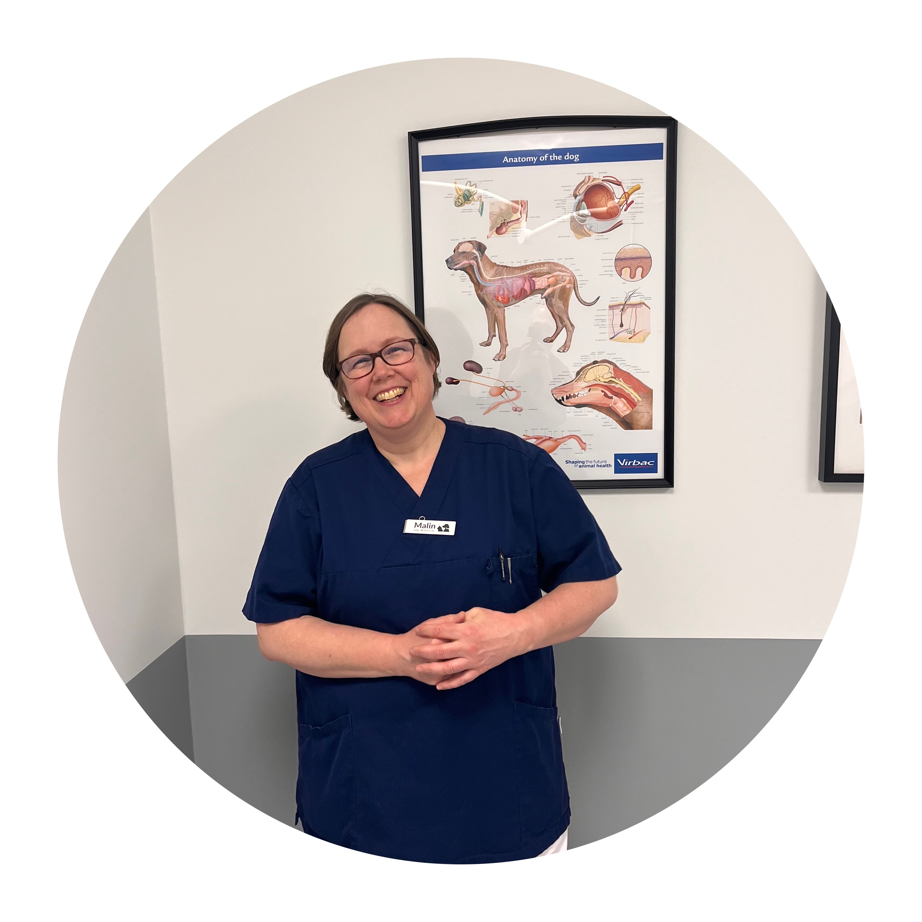 Veterinär Malin Kihl Sandberg