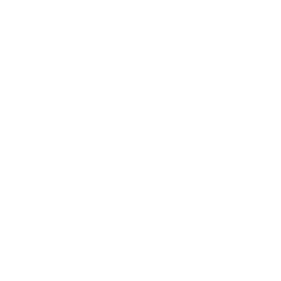 pansyer and balance invest case study