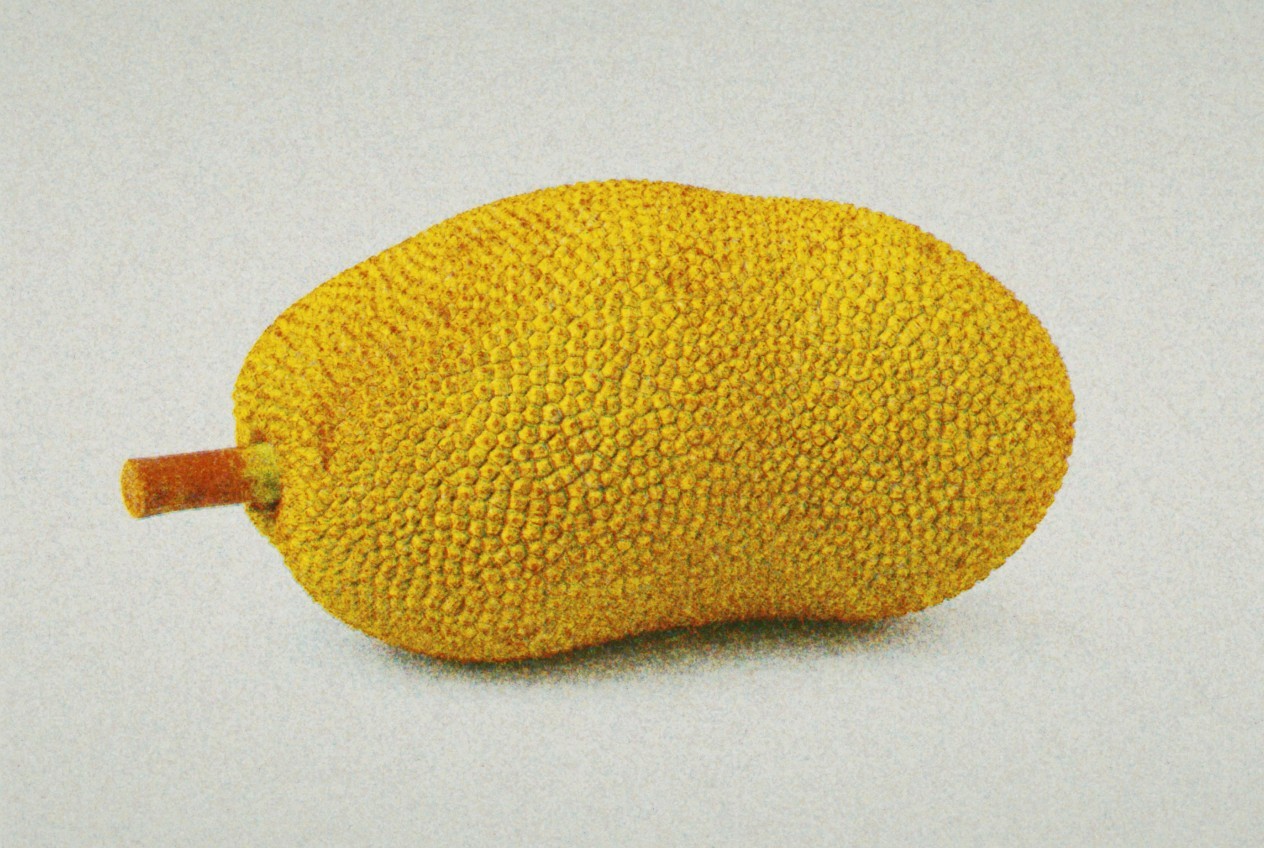 Jackfruit