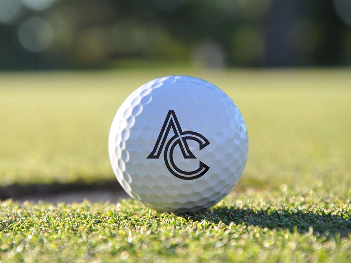 Rooftops of a coastal town with the sea in background