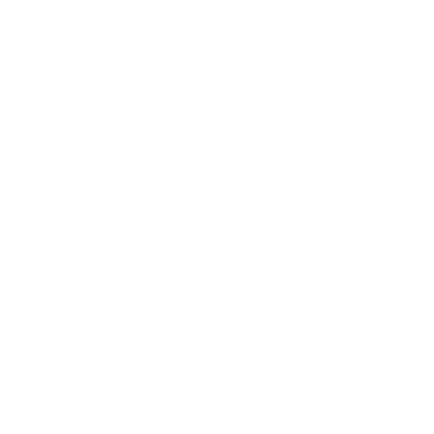 linkedin icon