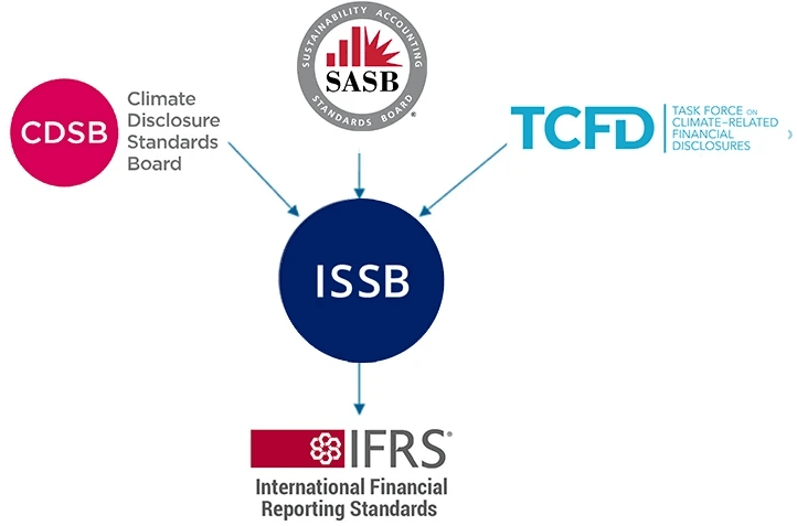 A wide shot of rolling green hills under a blue sky with white clouds.