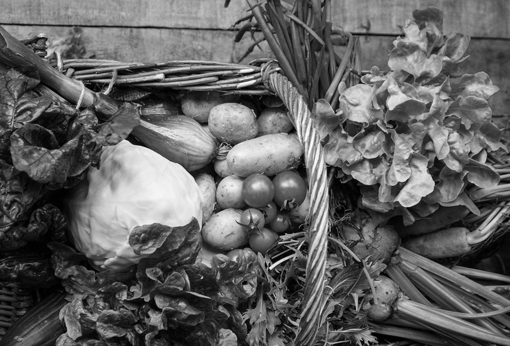 Organic Vegetables from beechlawn Farm which are getting supplied to As One Restaurant Dublin