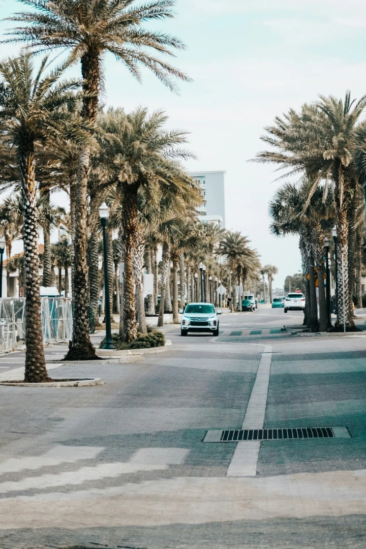 City street with palm trees in Jacksonville, FL.
