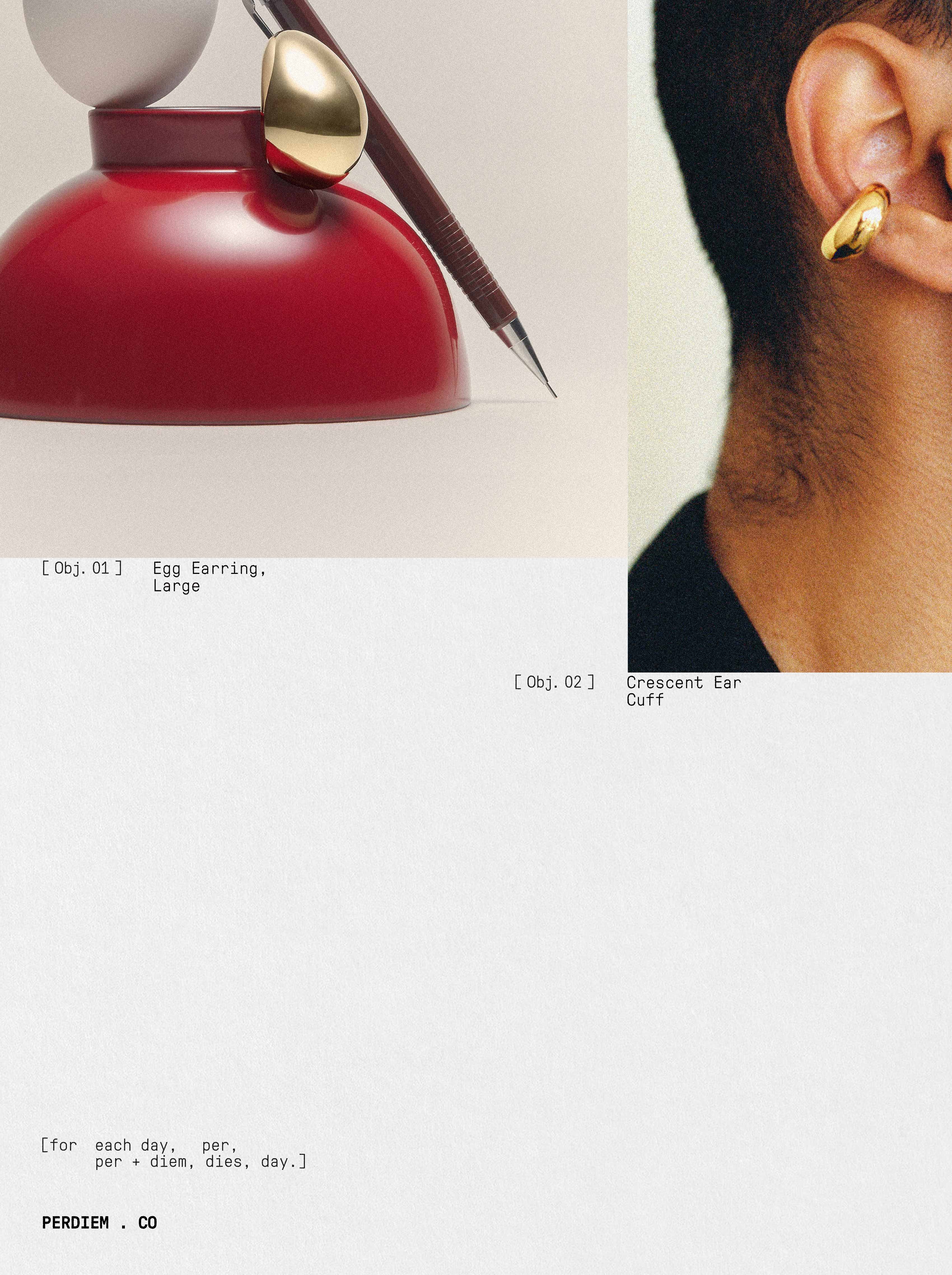 Close-up of a dark green leaf showing its textured surface and central vein against a muted background.