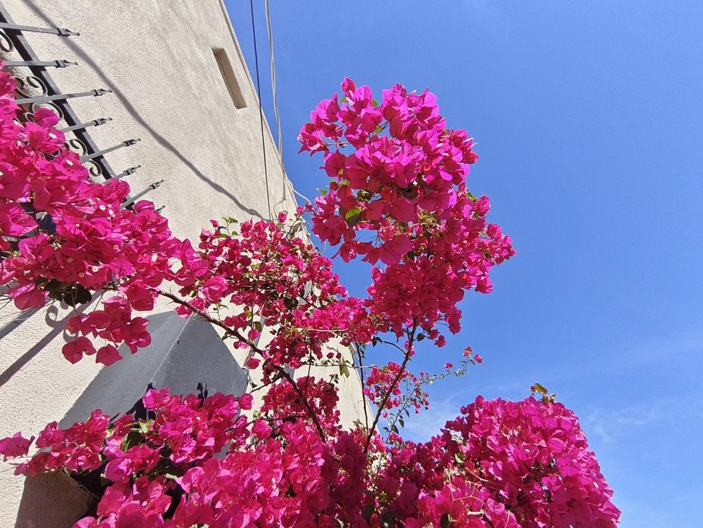 Album Photo Real Mehedi Free Framer Template Photography