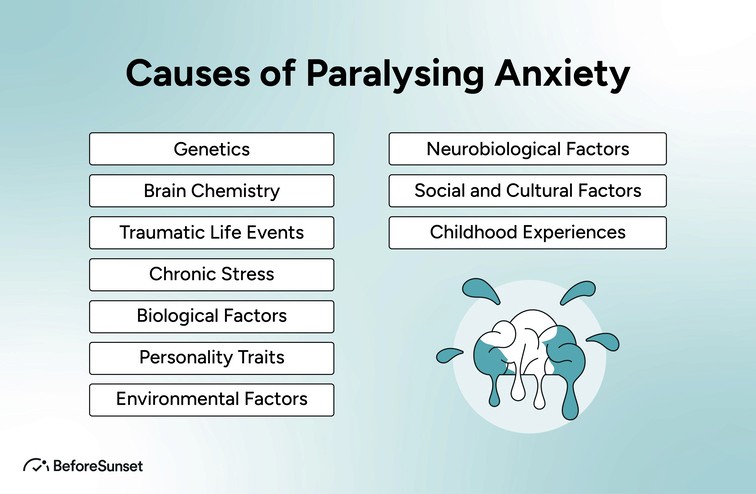 Causes of Paralysing Anxiety