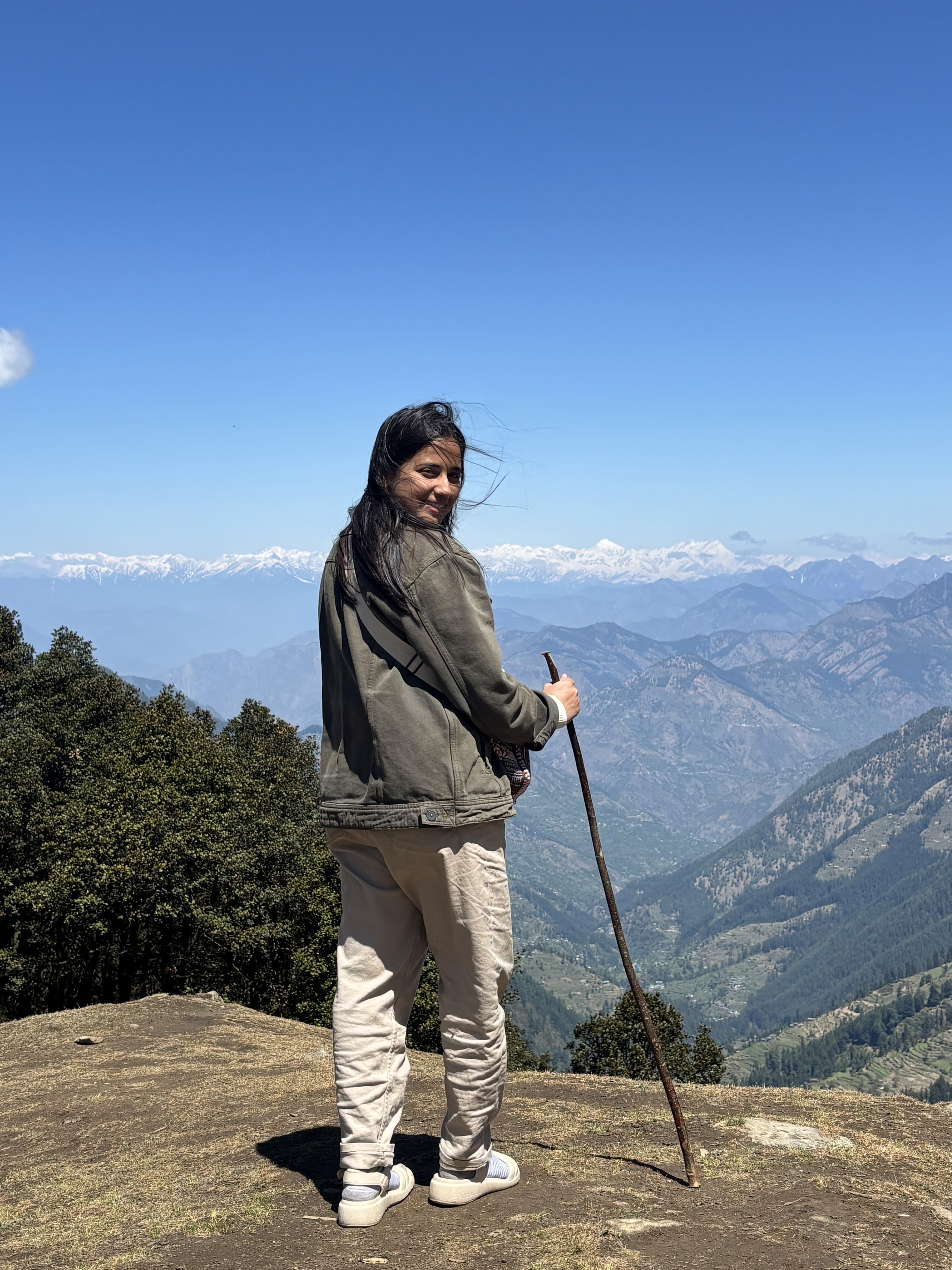 picture of plants and greenery