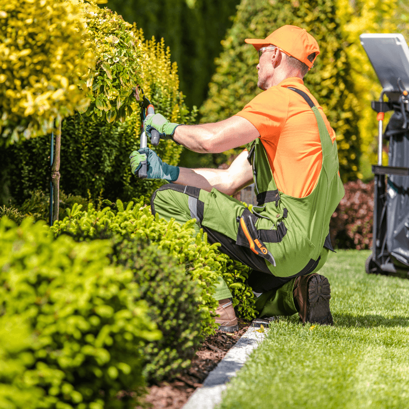 Sod installation services Turf installation services Professional landscaping services Bay Area sod contractors Eco-friendly turf solutions Residential sod installation Commercial turf installation Lawn care specialists High-quality sod suppliers Drought-resistant turf Custom landscaping designs Sustainable garden design Backyard renovation services Front yard landscaping ideas Garden maintenance services Local sodding companies Artificial turf installers Natural grass installation Outdoor space transformation Landscape design and installation