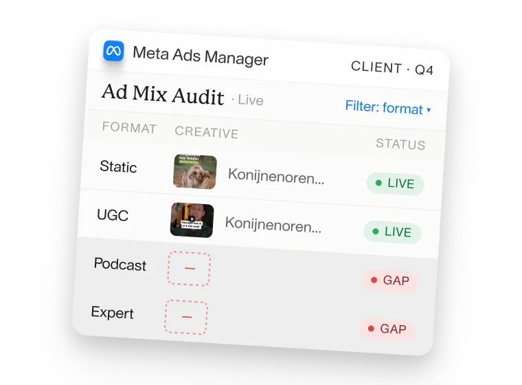 Meta Ads Manager Ad Mix Audit overview showing format types (Static, UGC, Podcast, Expert) with live and gap statuses