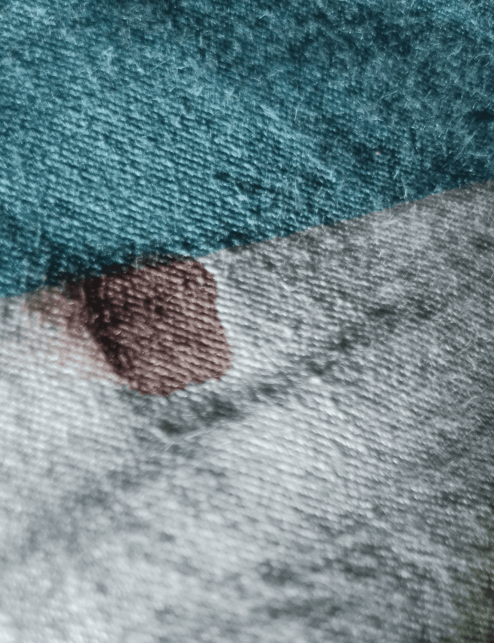 Bedbug Blood Stain