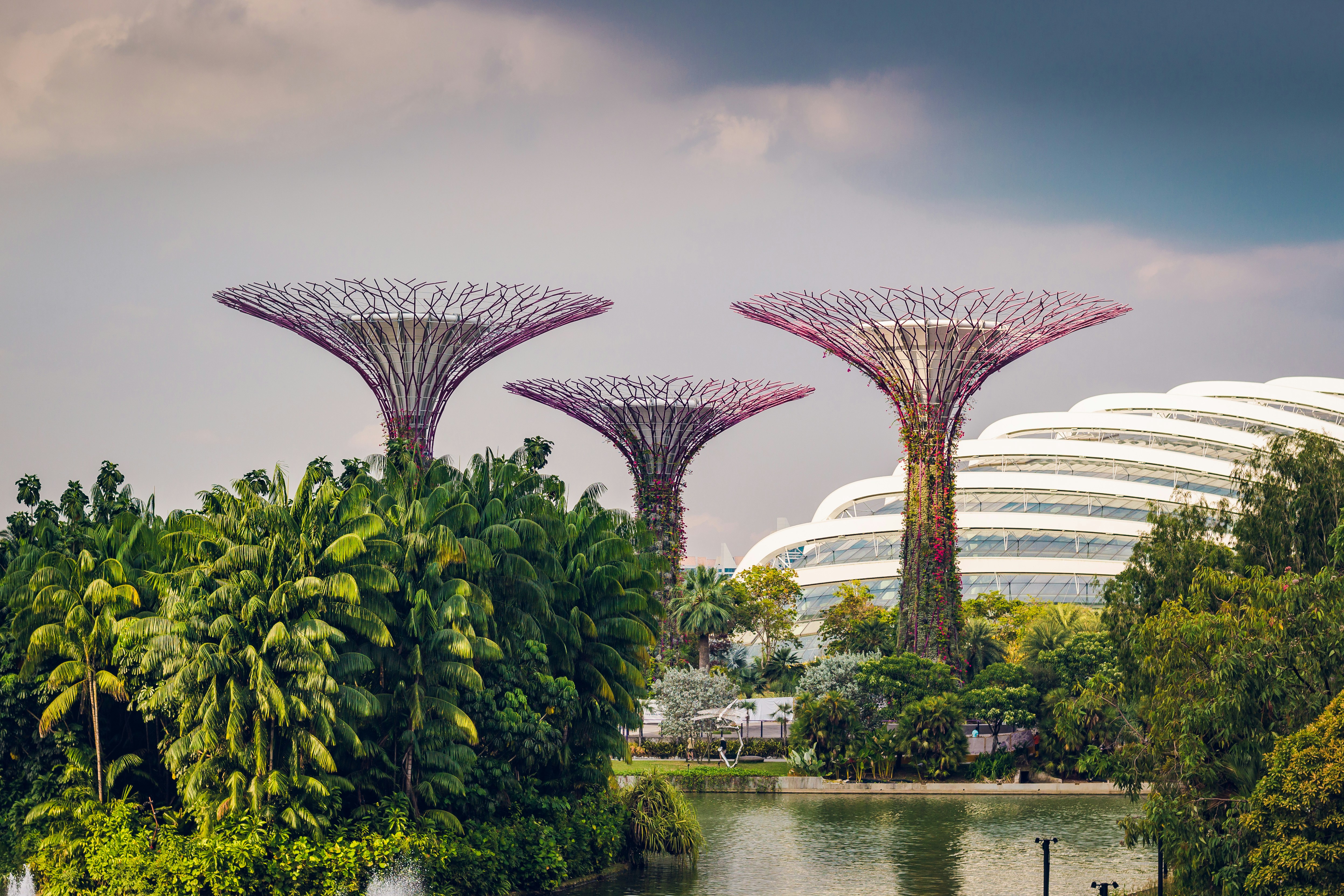 Singapore 
