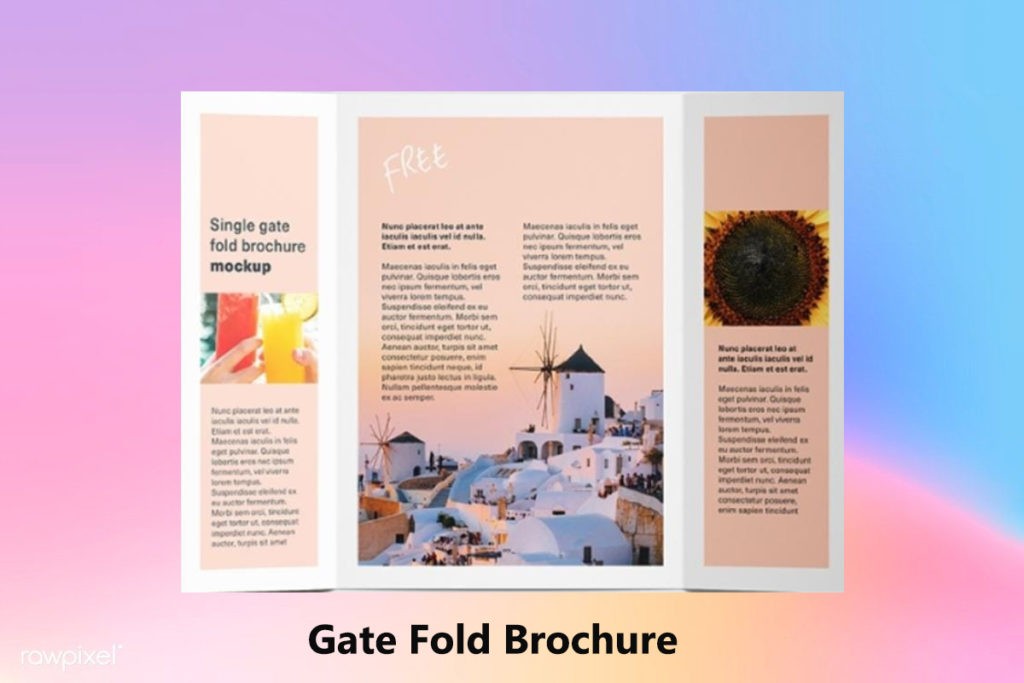 Gatefold Brochure