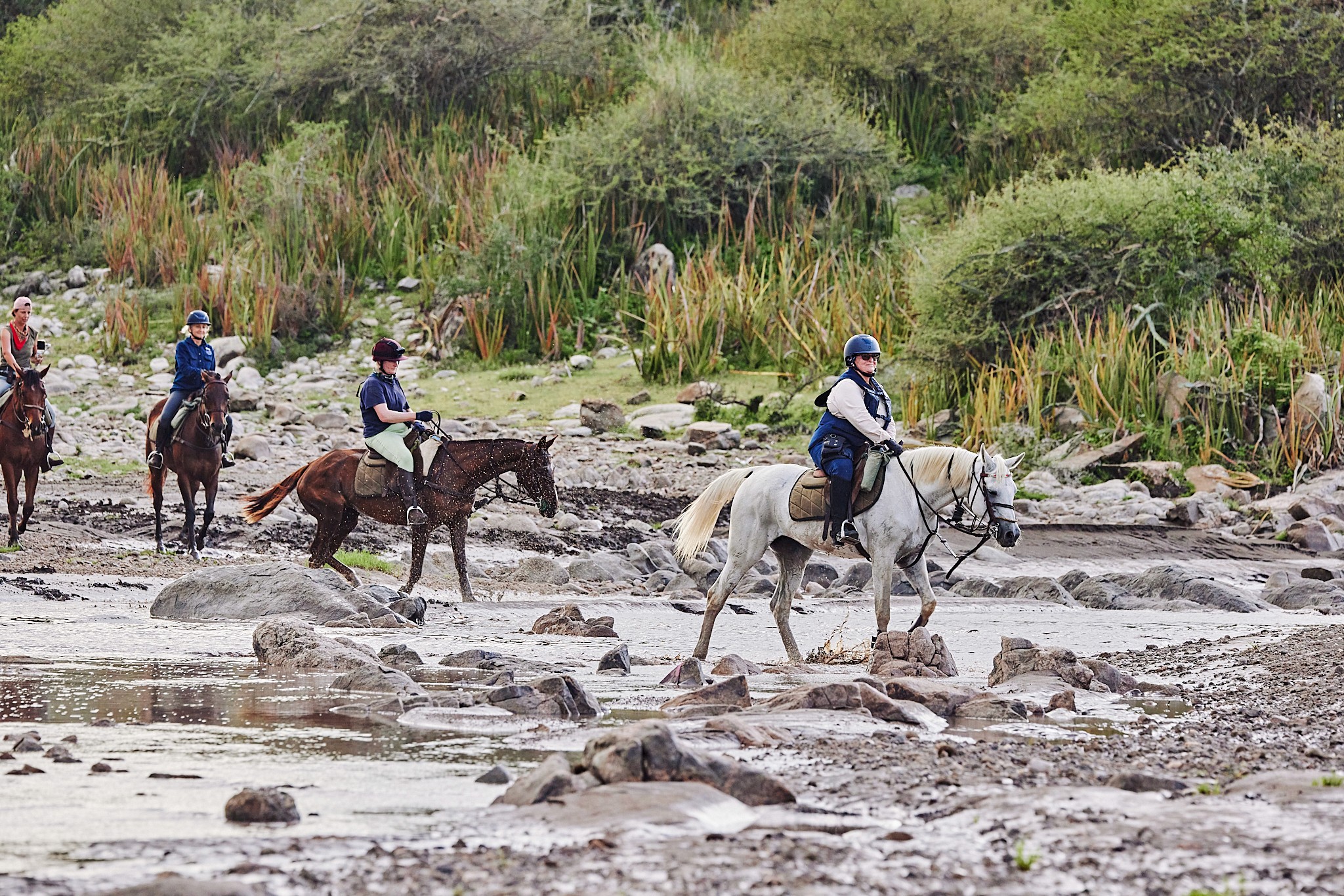 Grupp av ryttare på ridresa i Afrika galopperar över Serengetis vidsträckta slätter medan damm och gnuhjordar rör sig över horisonten under the great migration.