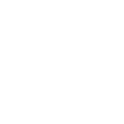 X icon