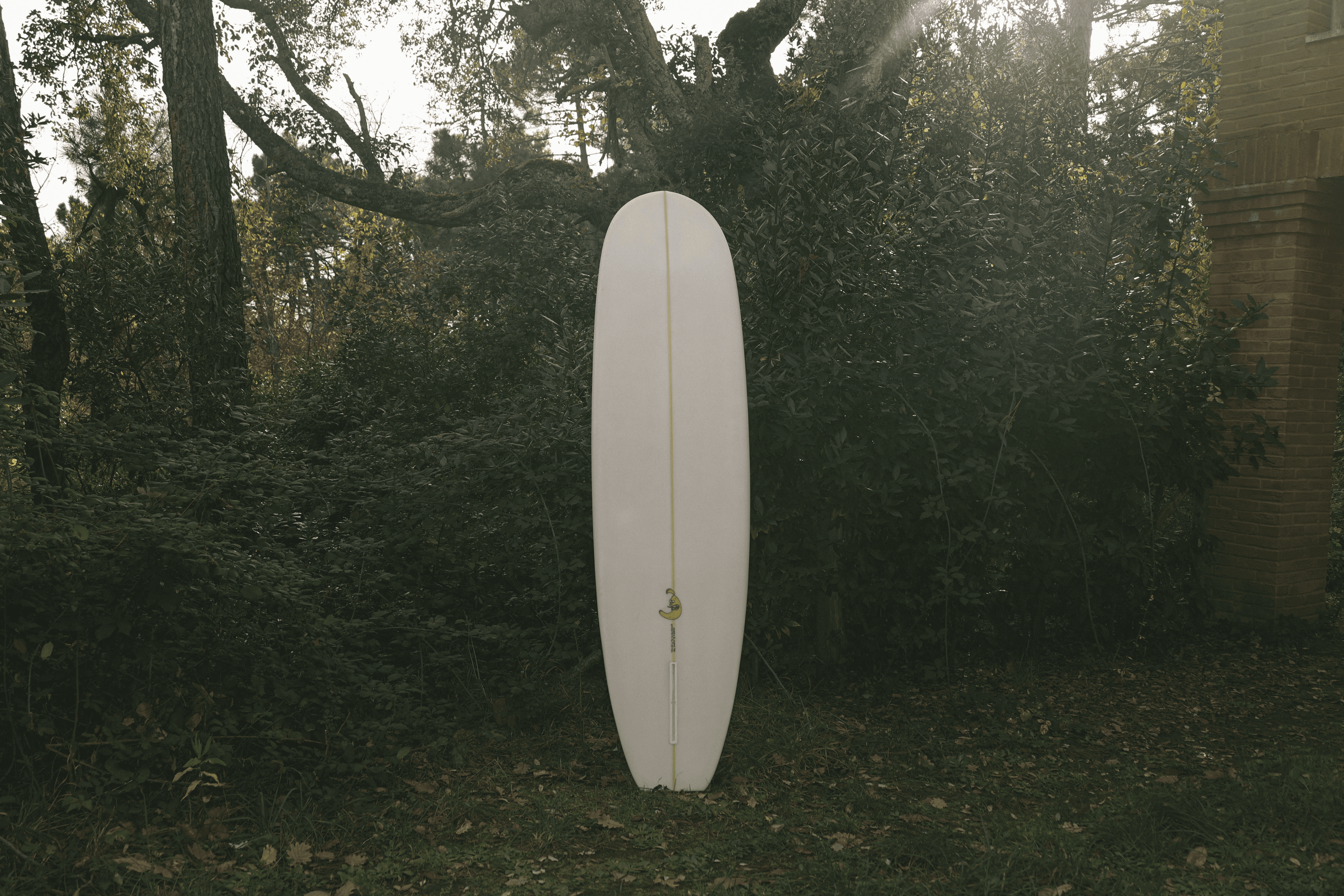 Modello Platano, longboard bianco con pinna singola gialla e stringer, in piedi su un prato verde con siepi folte sullo sfondo.