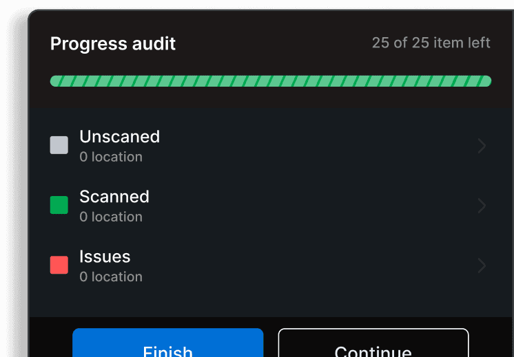 Asset Audit Progress