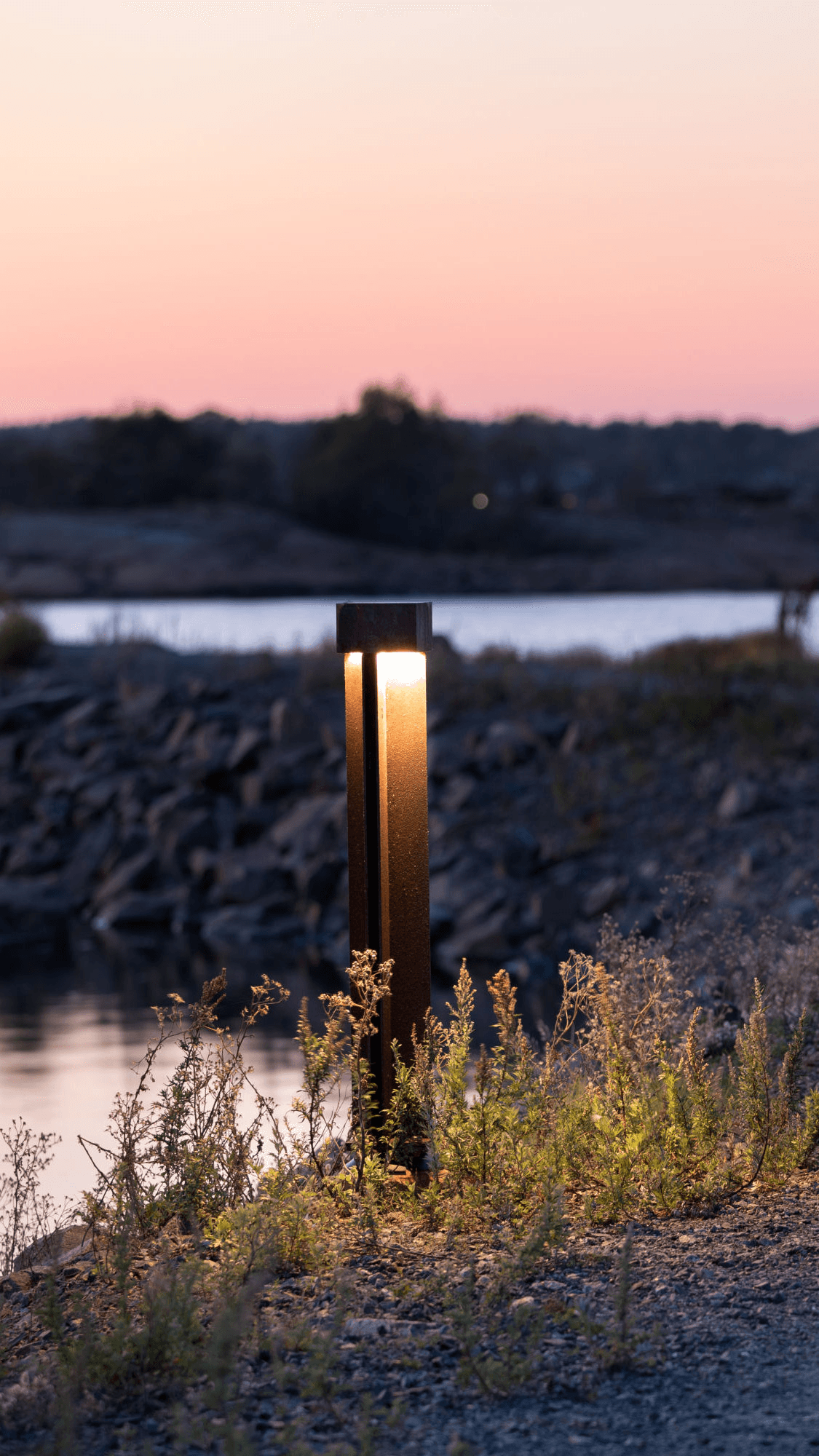 Modern glass and steel building with warm wooden ceilings, surrounded by lush greenery, blending contemporary architecture with nature.