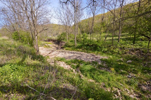 Photo 7 of 12.5 acres County Road S, Hickory Grove
