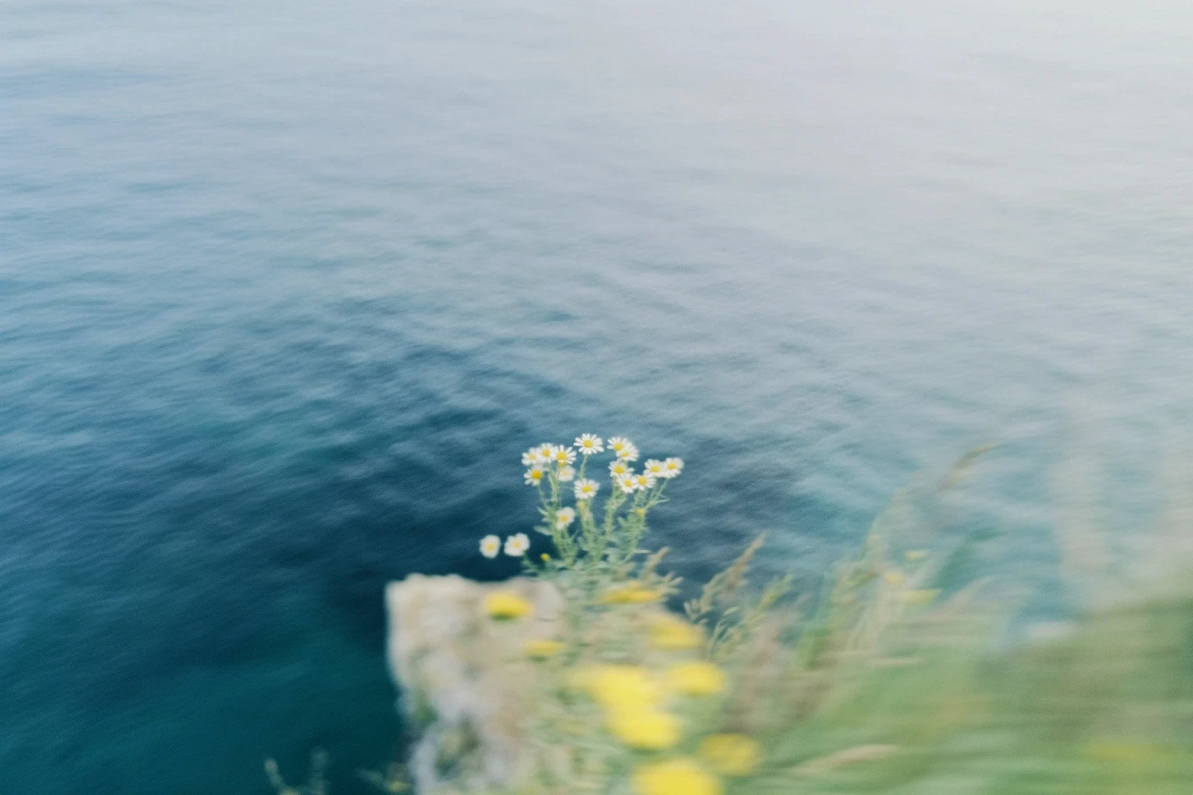 A small cluster of white and yellow wildflowers on the edge of a cliff, overlooking a vast, deep blue sea. The slightly blurred focus conveys a planetary perspective, emphasizing the interconnectedness of natural elements and strategic foresight