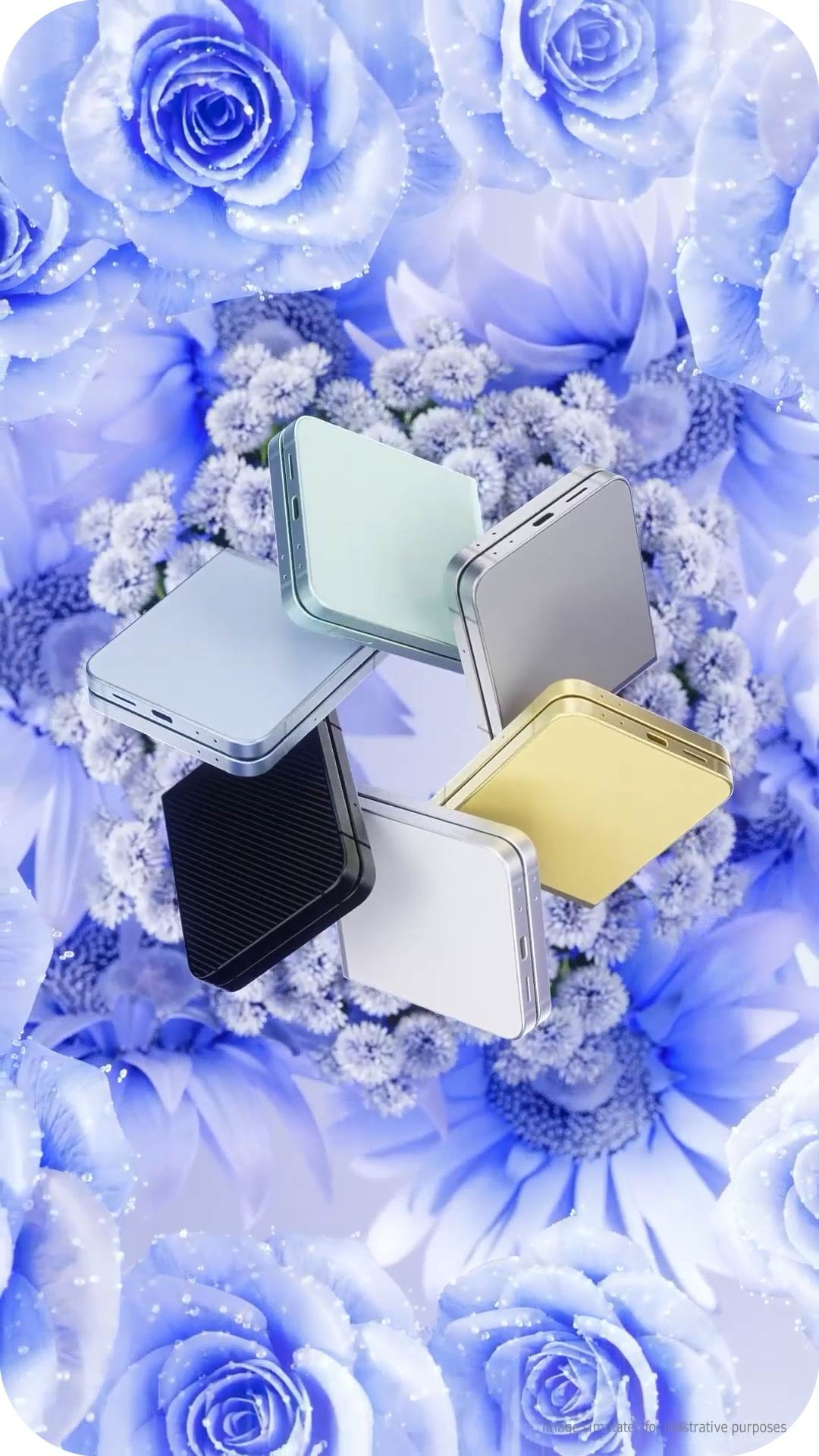 Project Content Image - 1