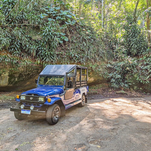 热带雨林吉普车旅行
