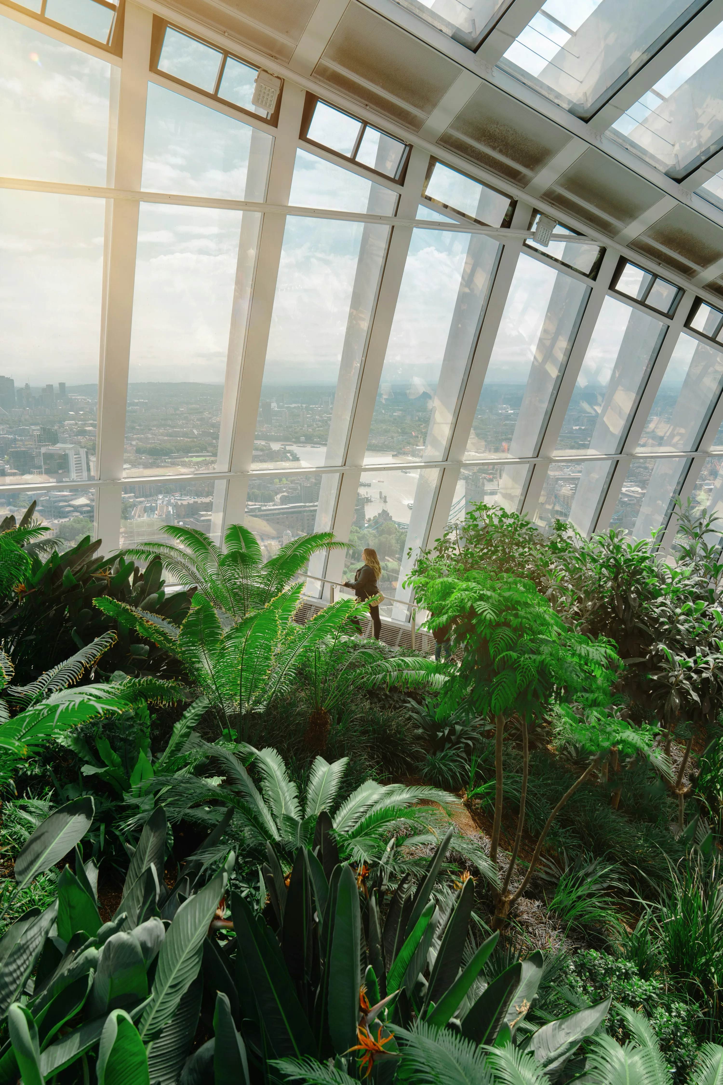 The lush garden of the London Sky Garden with a panel of bright windows in the background. 