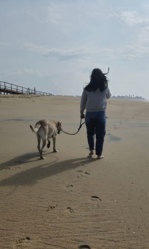 Woman lifiting a dog