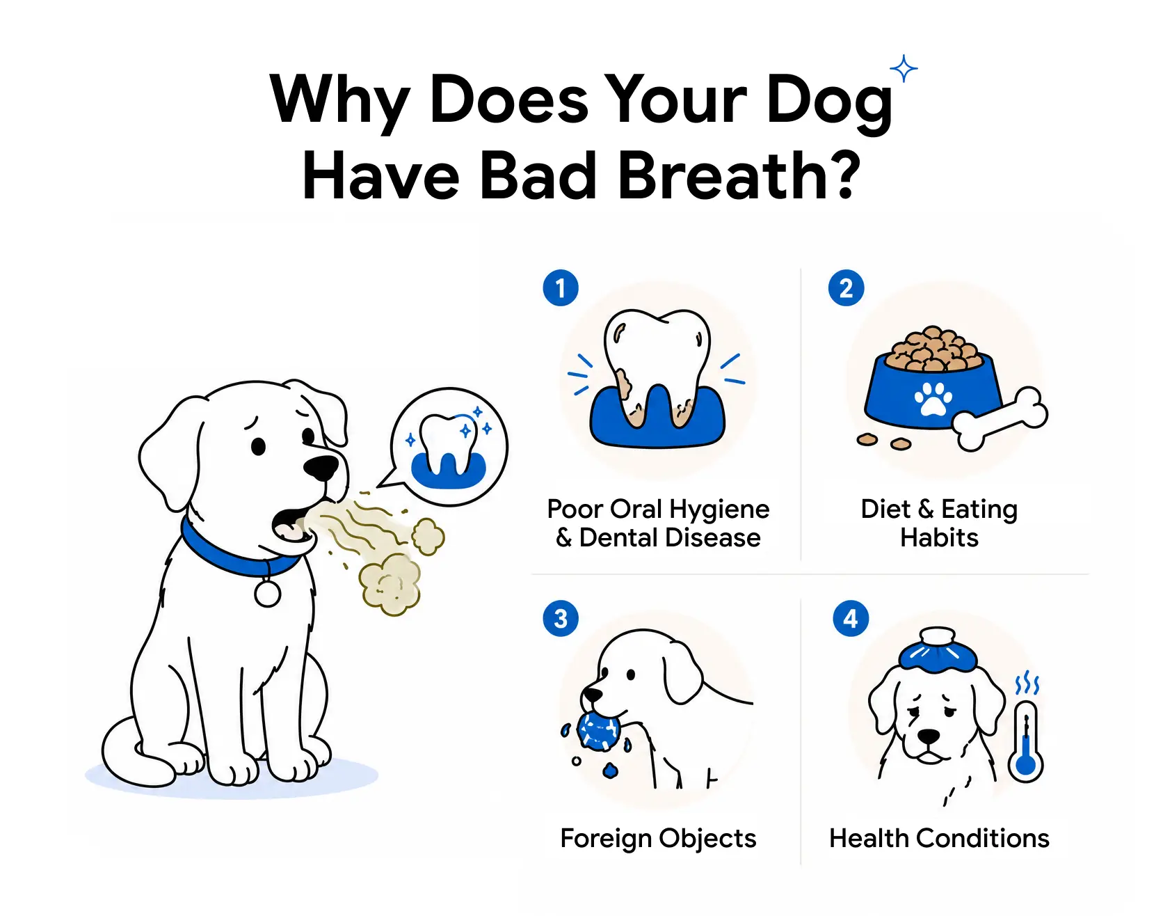 An infographic showing the causes of bad breath in dogs.