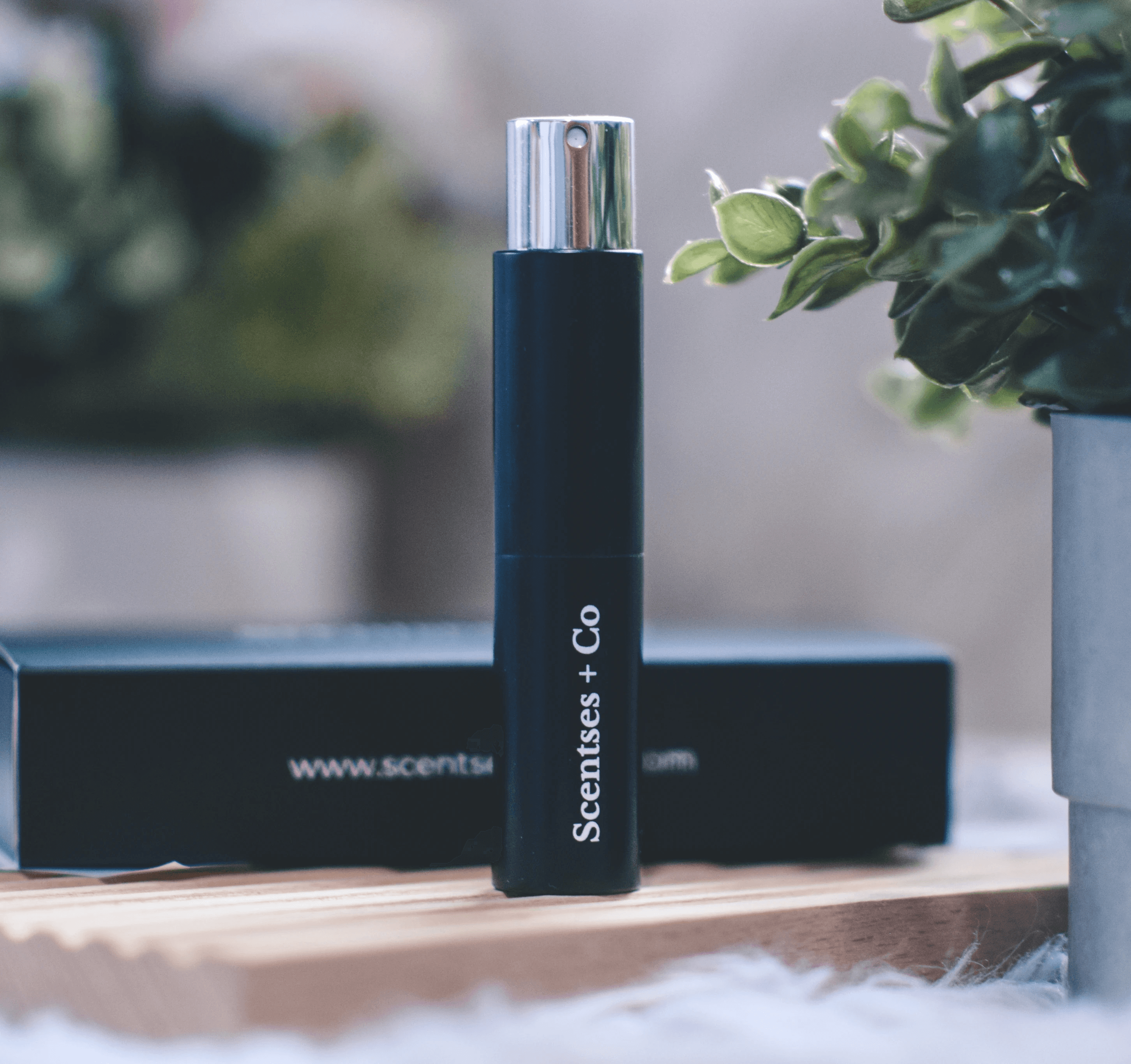 Scentses+Co First Move