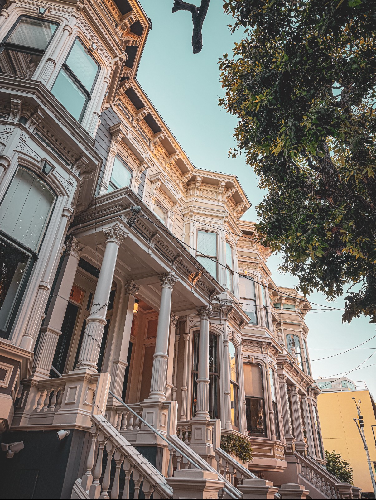 Victorian homes in San Francisco, with a luscious green tree hanging over them.