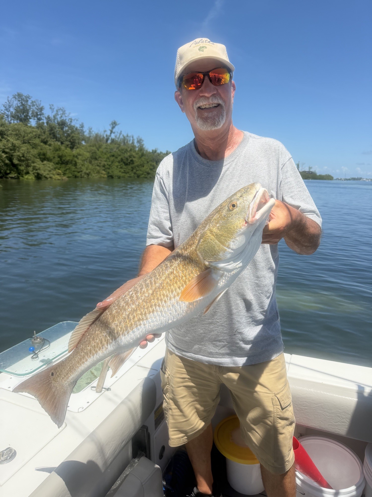 Angler holding a redfish along the mangroves on an inshore fishing charter