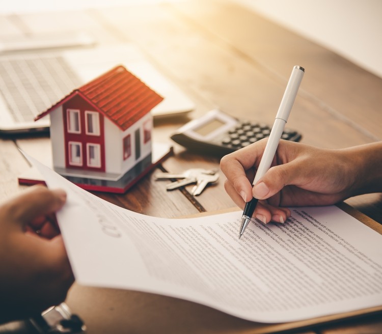 kids lying on a glass land and smiling