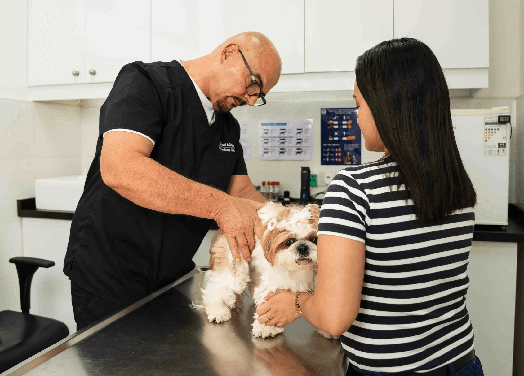 Dog receiving parasite prevention care to maintain overall health and comfort.