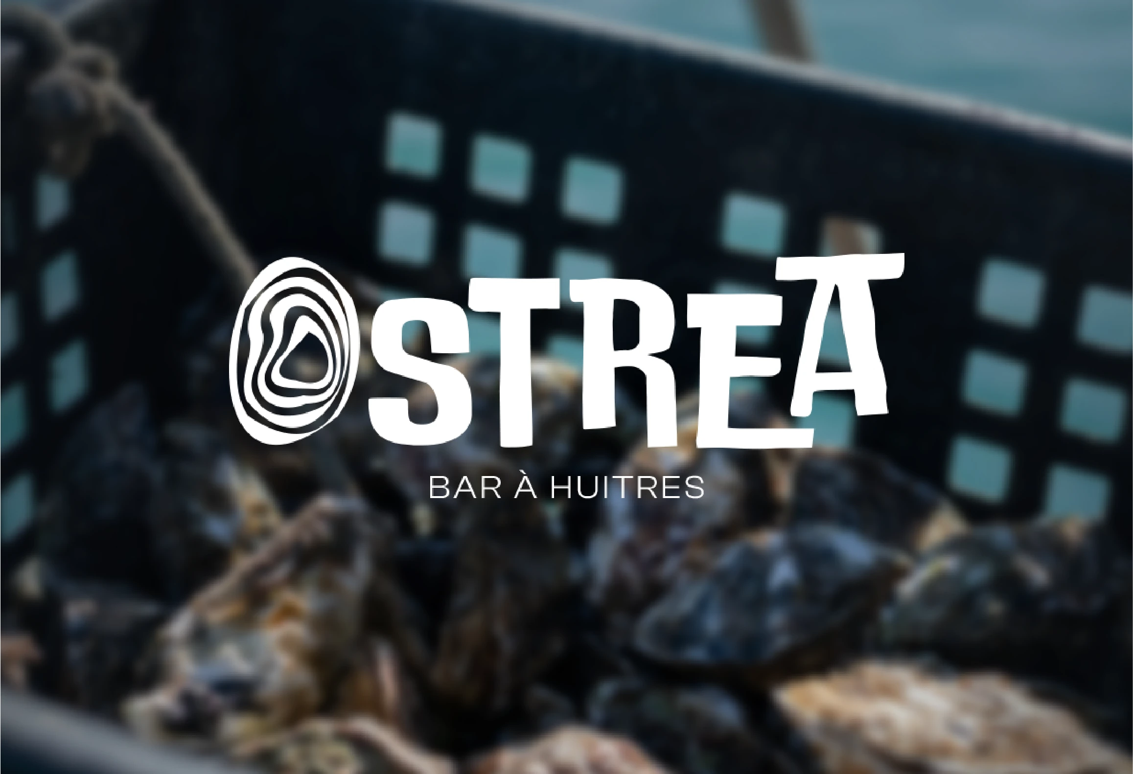 Univers visuel OSTREA, ambiance marine moderne pour un bar à huîtres breton