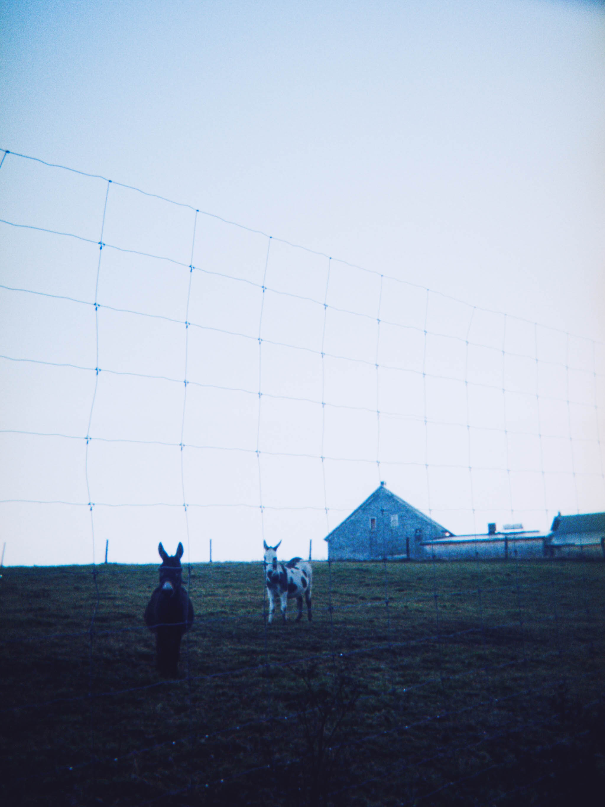 Photograph title Copy Copy Copy Copy Copy Copy Copy Copy Copy Copy