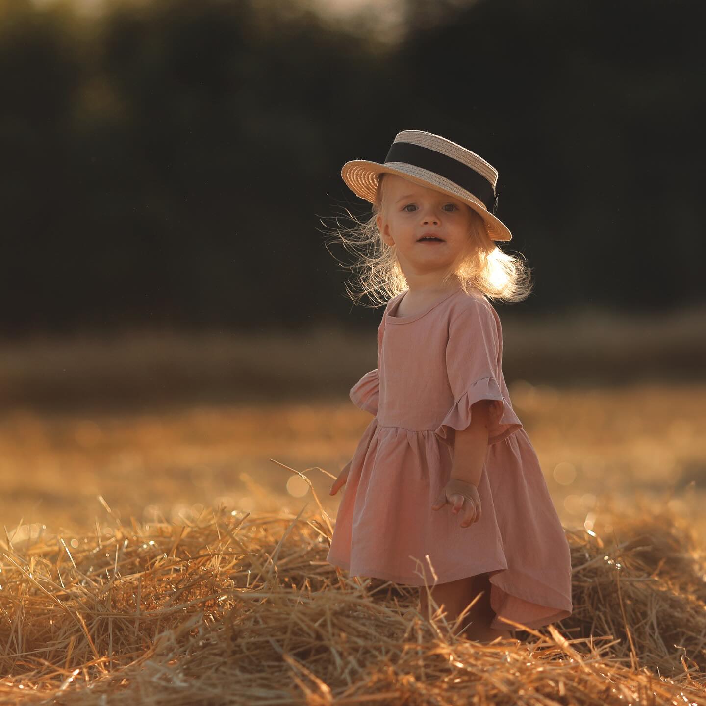 Little girl standing in a field at sunset during a family photo session.