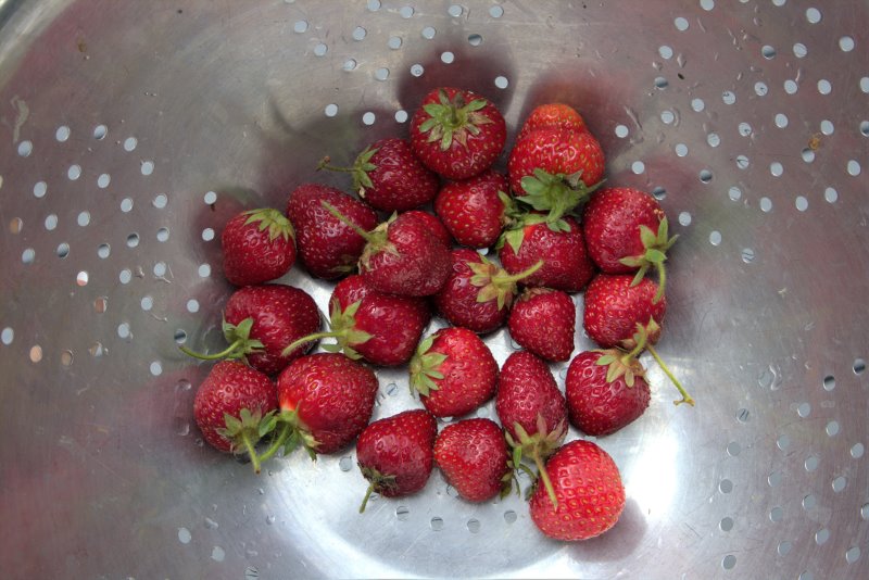 Fragole lavate