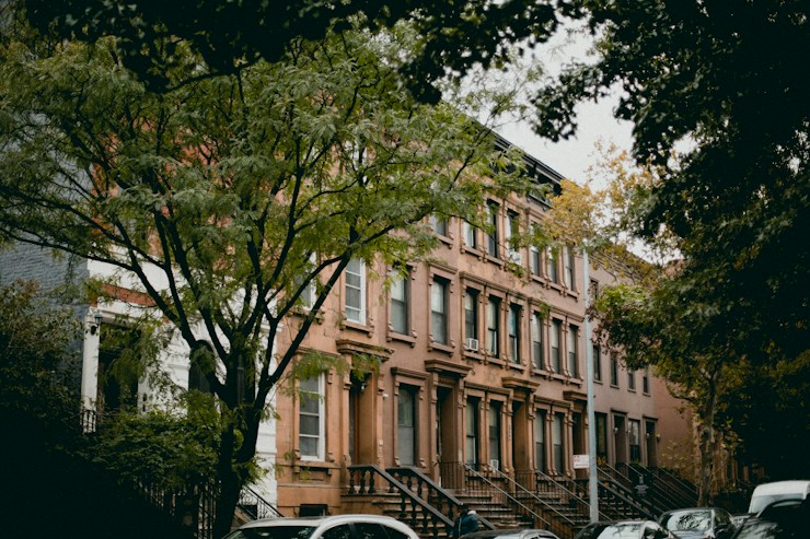 A row of brownstone townhouses behind a street tree