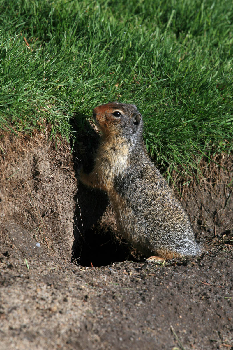 A man with surfboard