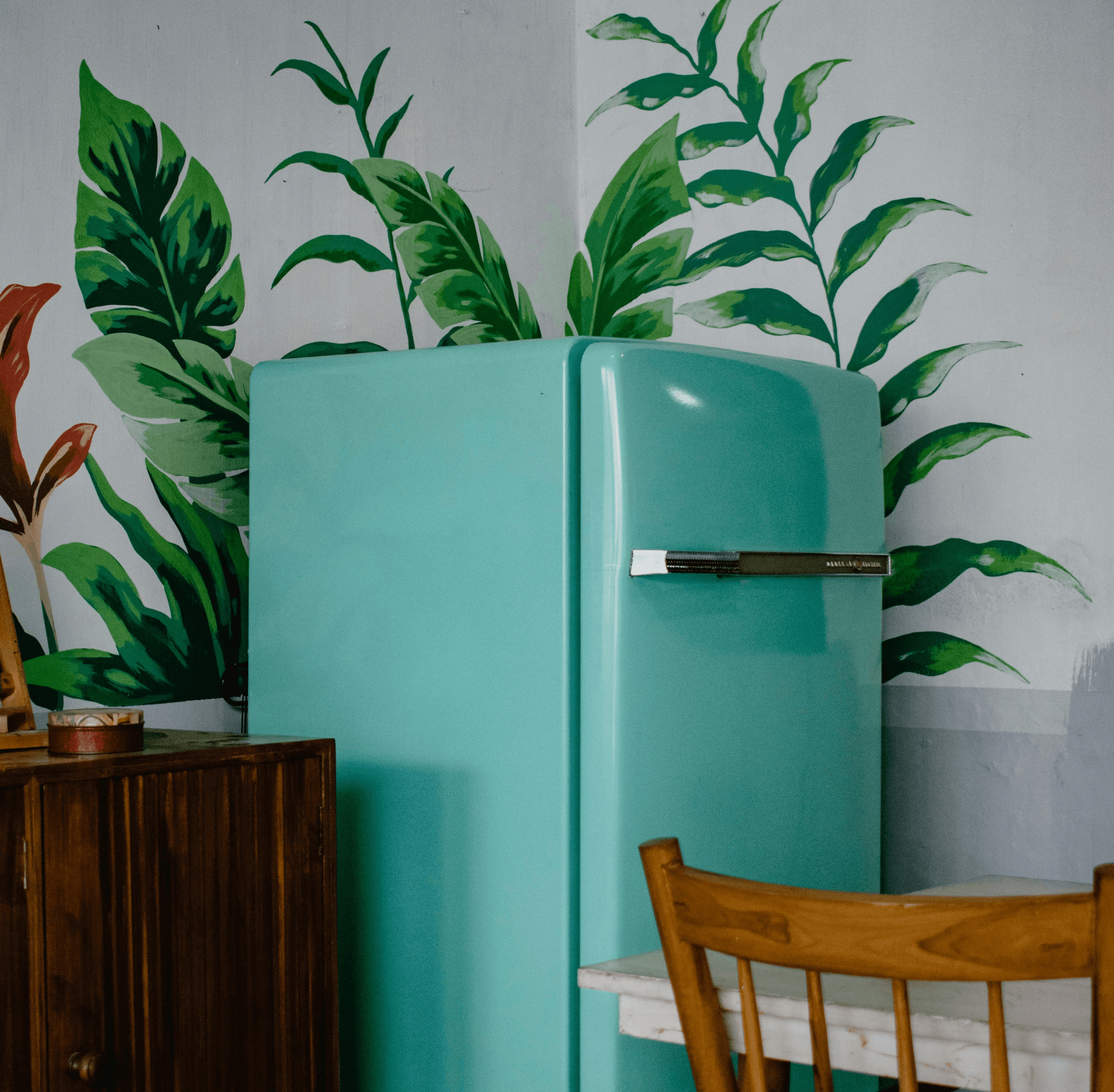 blue refrigerator beside green-leafed plant