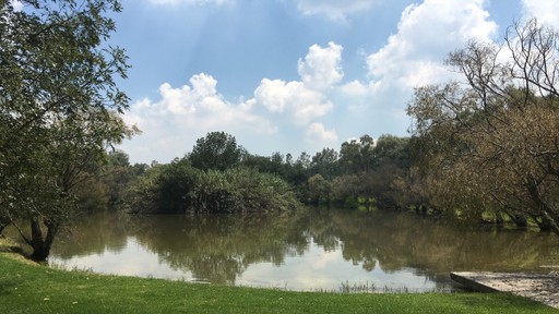 Amplio paisaje natural en los terrenos de Cobertizo residencia artística, Jilotepec, México