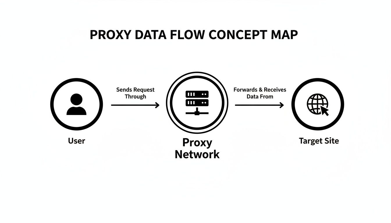 A concept map illustrating the data flow: User sends requests through a Proxy Network to a Target Site.